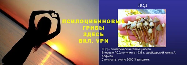 прущие грибы Алзамай