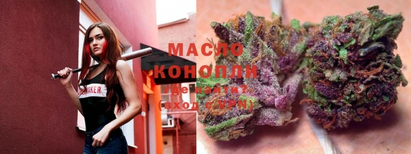 прущие грибы Алзамай
